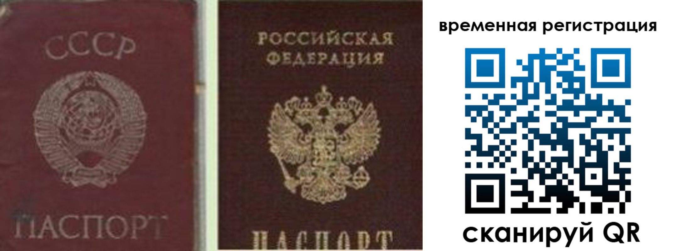 найти адрес прописки в Заинске